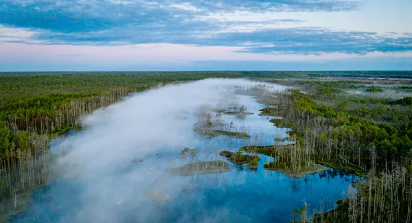 latvia forest river