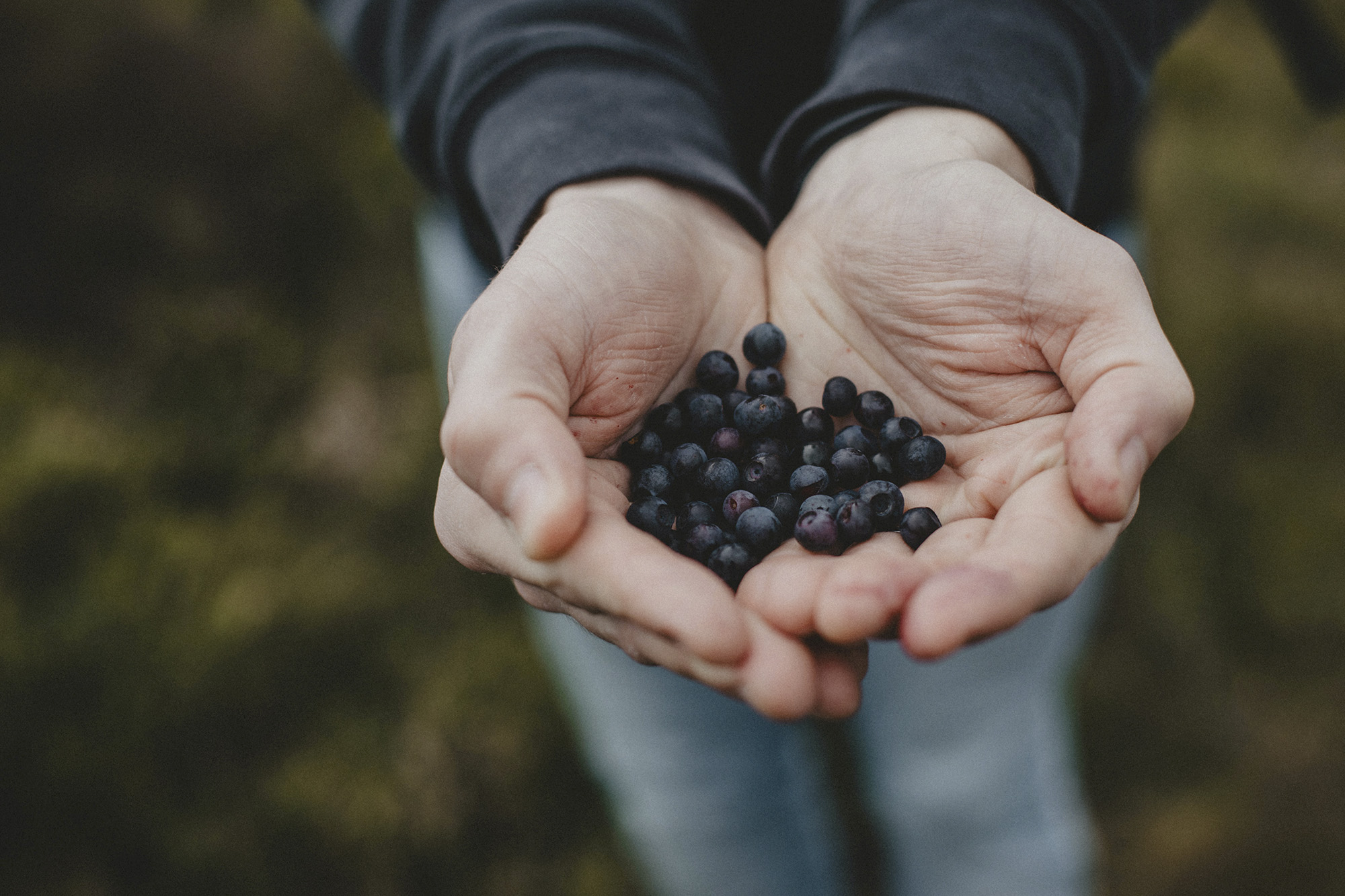 superfood-nordic nature-beth-jnr-unsplash