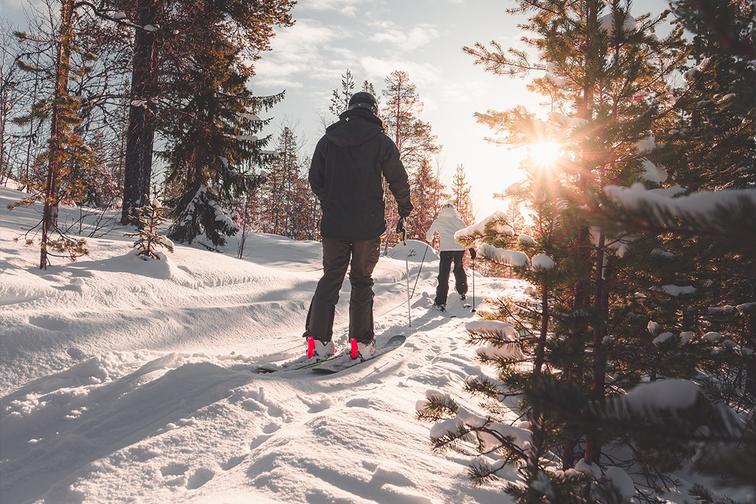 people skiing in a snowy forest