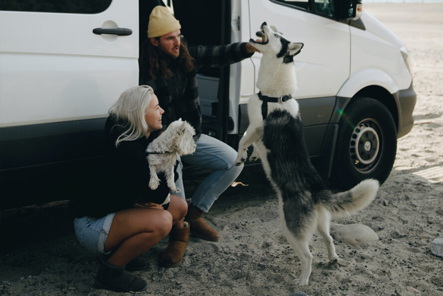 pnw-production-pexels-motorhome-van-dog-pet-couple-4