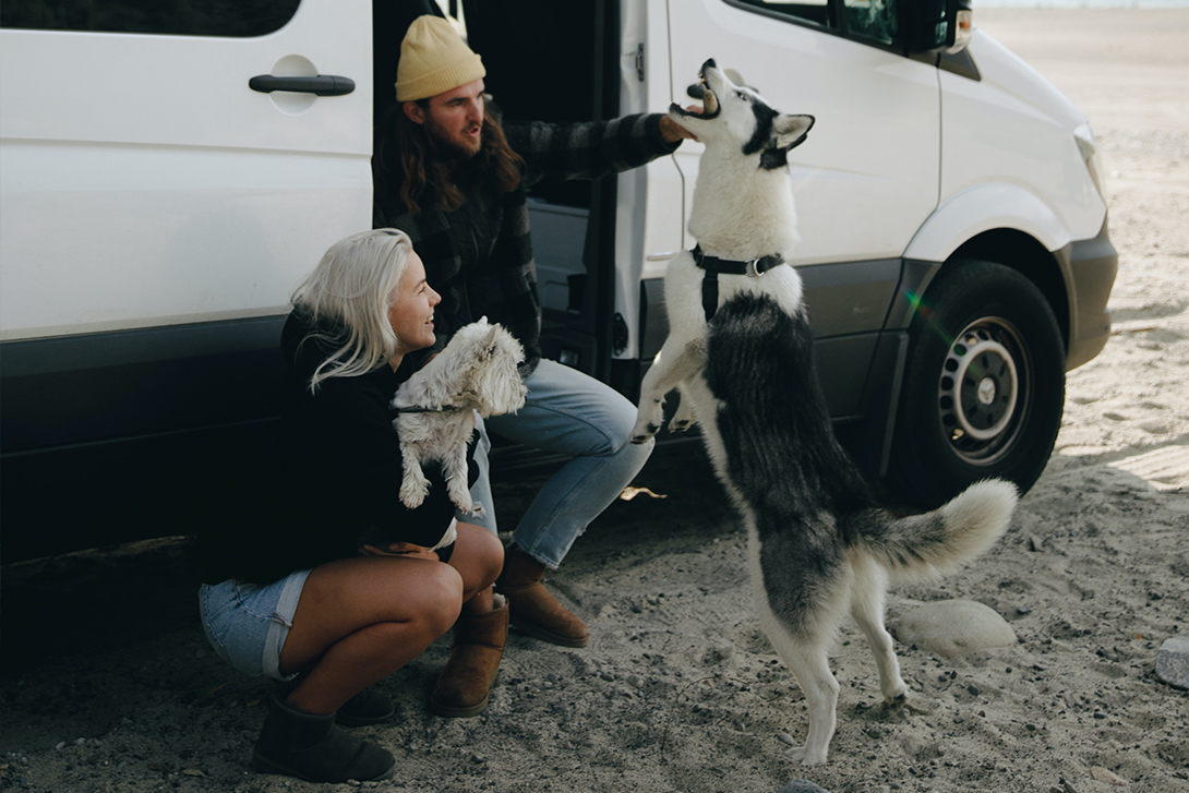 couple playing with dogs