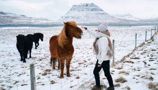 iceland-pexels-arthouse-studio-4640857.jpg